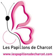 MARCHE SOLIDAIRE: Les Papillons de Charcot 