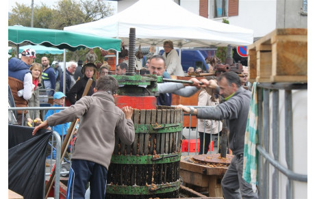 Fête de la pomme 2015