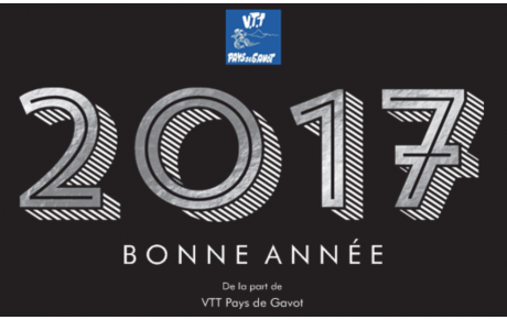 Bonne Année 2017