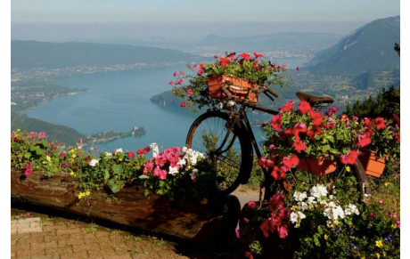 Comité 74: Questionnaire sur la pratique féminine du vélo 